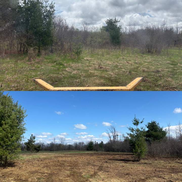 A715F588 D648 43CF A5F8 A06F1D1276D7