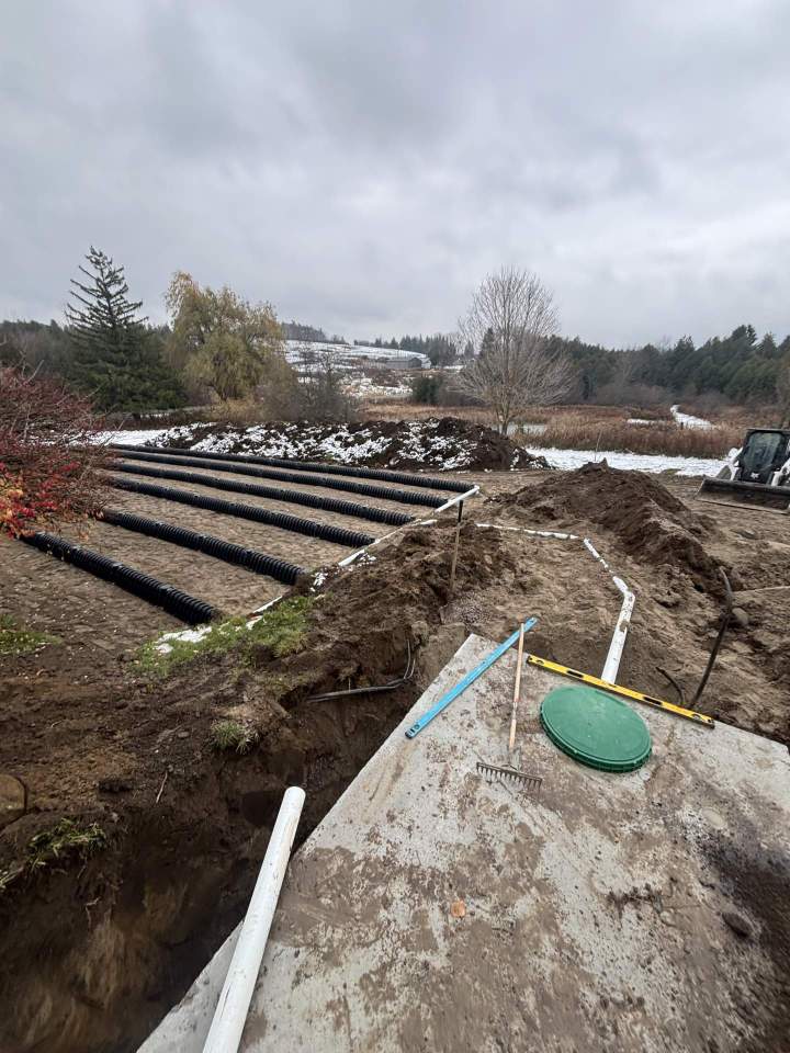 Landscaping Contractor	